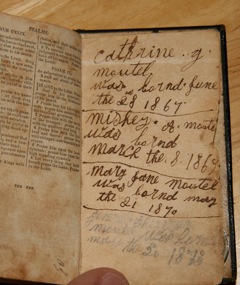 Picture of back of bible